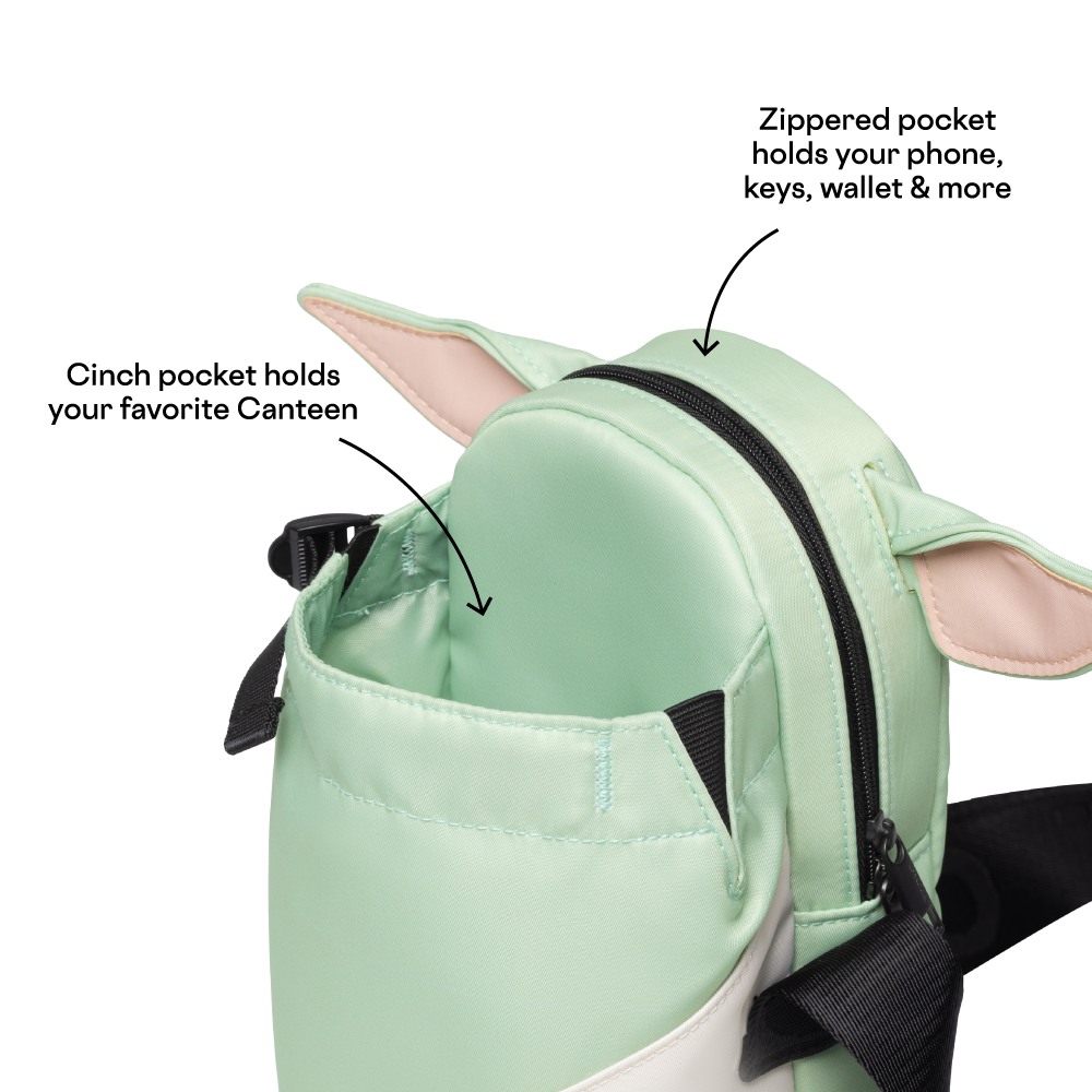 disney-sling-f7 53593b3e49e2--Sling-PDP-4.png