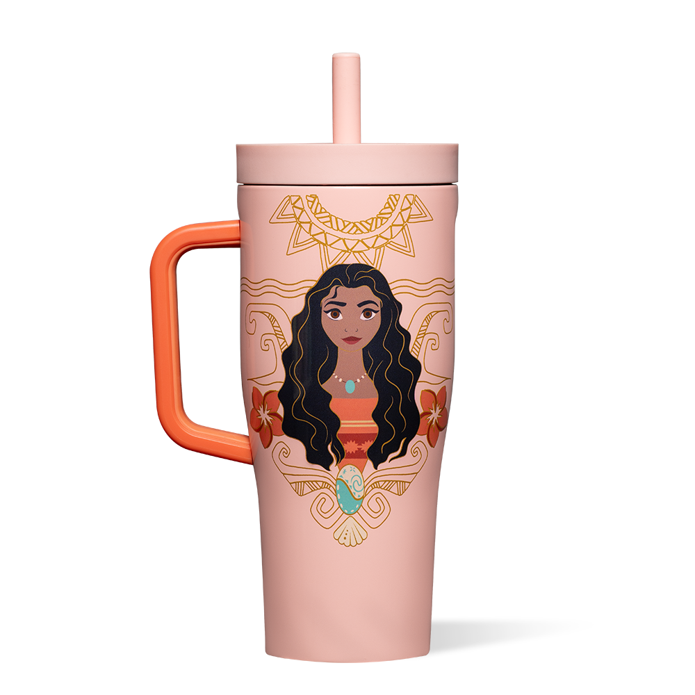 disney-princess-leakproof-cruiser-x9 DIS2222DP-M-01.png